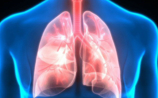 6 cách “quét sạch” độc tố trong phổi: Thực hiện mỗi ngày vì phổi hít phải nhiều chất bẩn